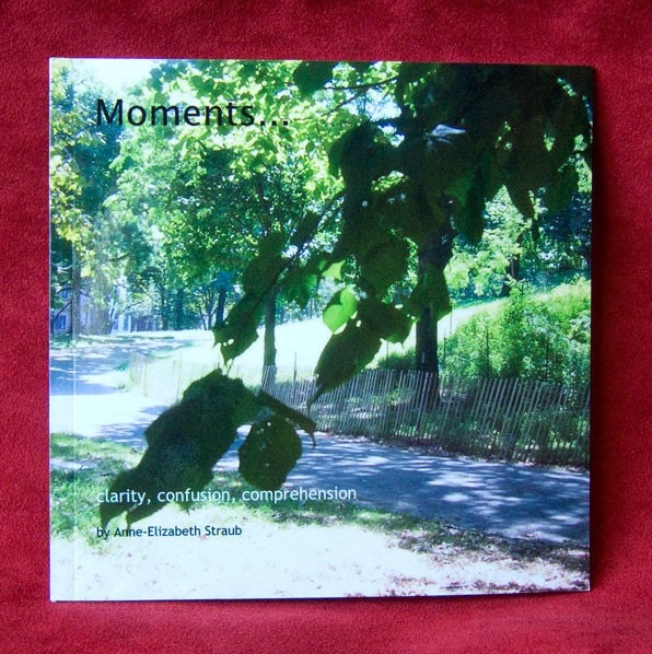 MOMENTS - a book of poetry and photography