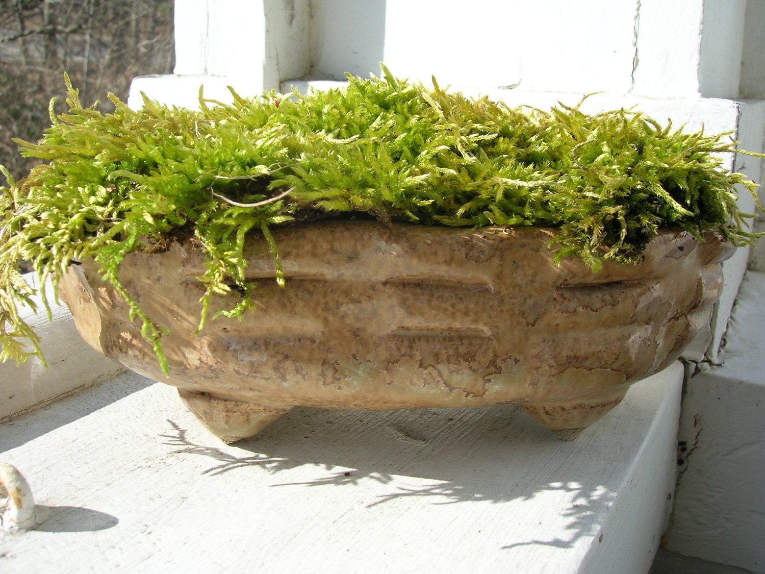 Hand Built Windowsill Moss Pot
