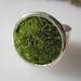 Green Grass Ring in Silver wide Adjustable Band