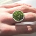 Green Grass Ring in Silver wide Adjustable Band