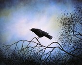Solitude -- 8 x 10 Glossy Print
