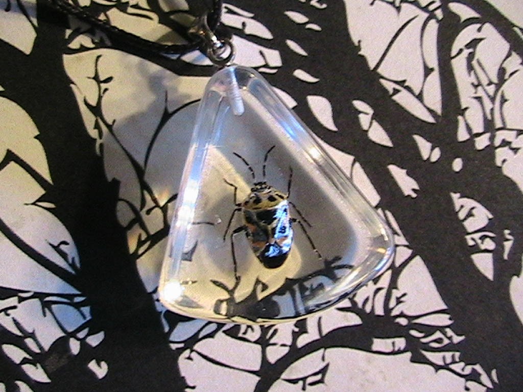 Harlequin Bug Triangle Pendant- Unique Necklace for the Uncommon Lady - ReAL iNsEctS -