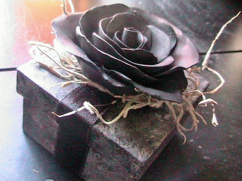 BEAUTIFUL Victorian Gothic Black Rose Keepsake gift box Handmade Ooak