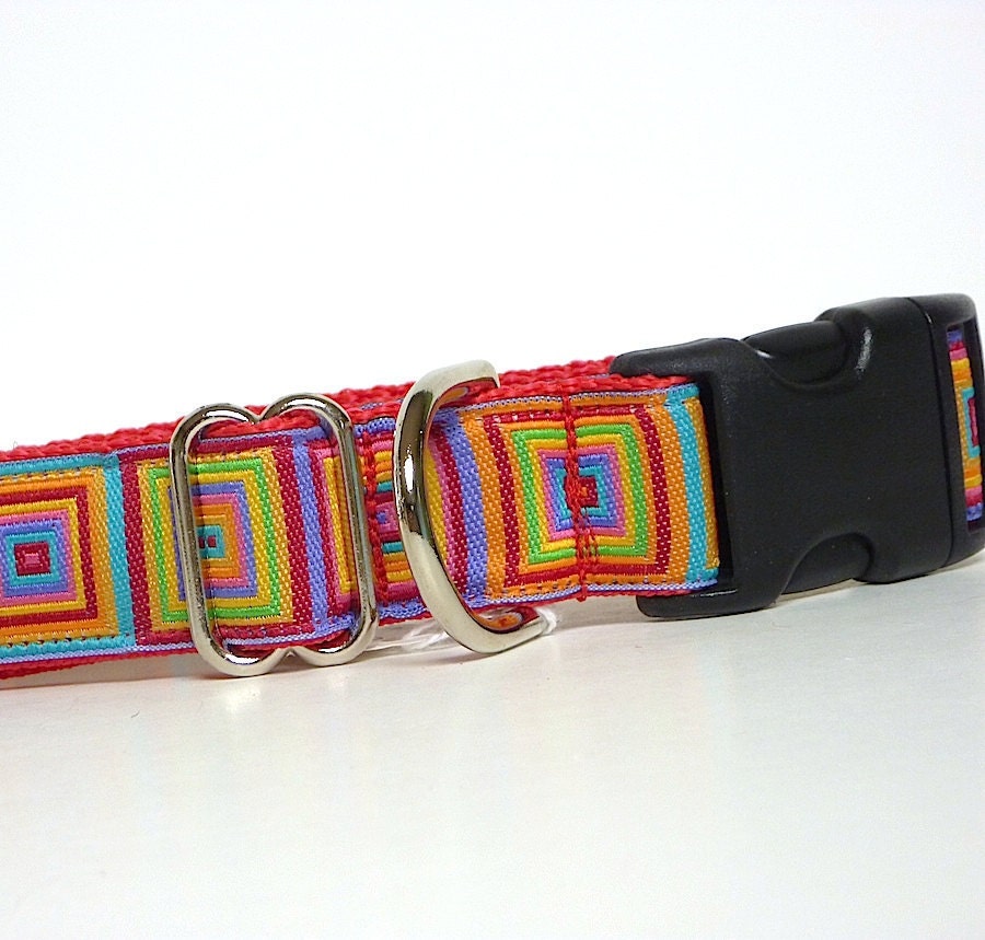 1" Red Dog Tag Buckle Collar - CANCUN RED color block
