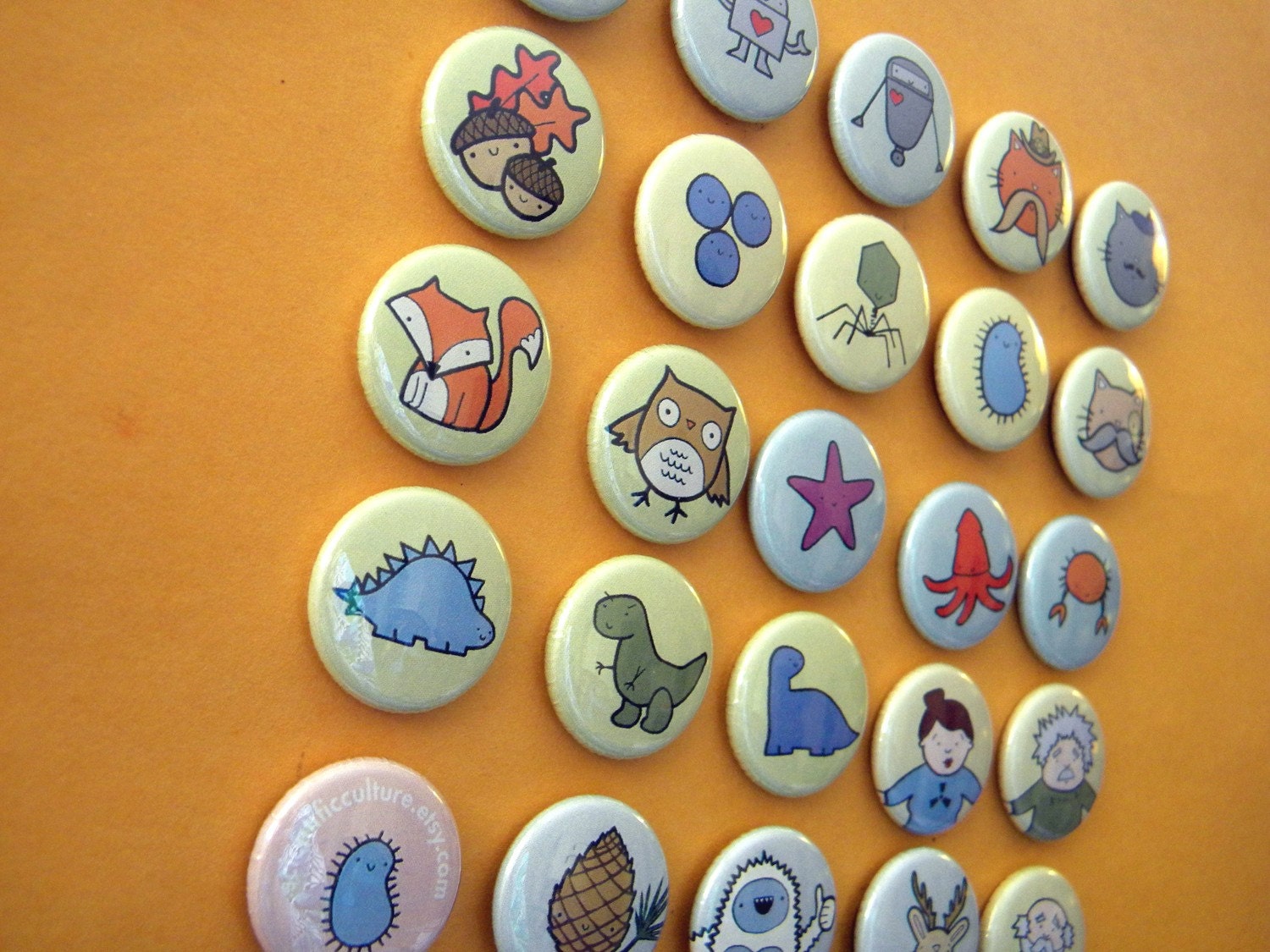 Magnet Set - Your Choice