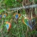 Paper Heart Garland - Rainbow Hearts 5' Garland with 5 Rainbow hearts