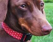 Red and White Polka Dots Dog Collar