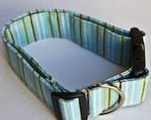 Blue, Yellow and White Striped Dog Collar