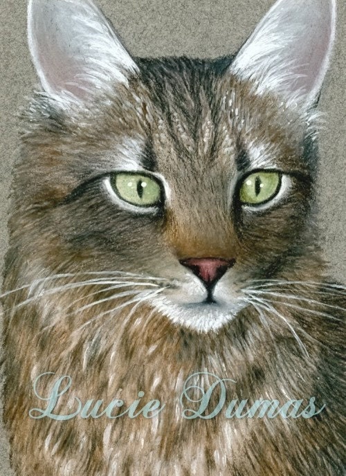 ACEO art print Cat 359 by Lucie Dumas