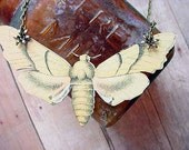 Yellow Moth Pendant Giant Butterfly Necklace Summer Naturalist Gift Box