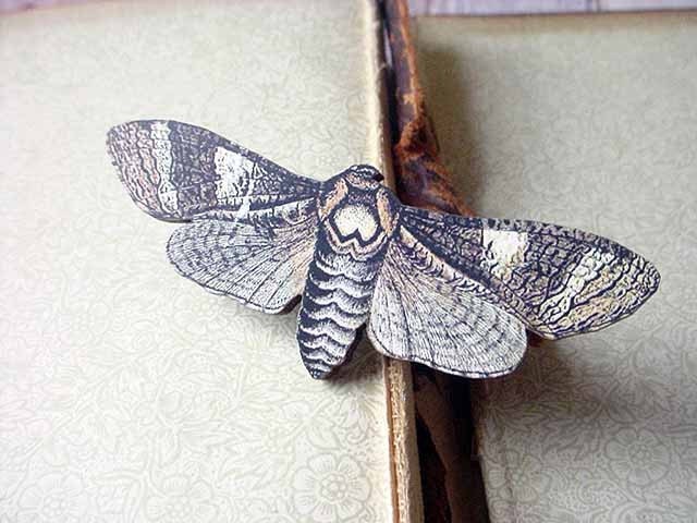 Moth Brooch Neutrals Brown and Beige Butterfly Pin Gift for Collector or Naturalist - Under 10 - MySelvagedLife