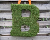 MADE to ORDER Over Sized Natural Moss 20x18 Inch Letter "B" Intial Hanging Letters for Wedding Reception Decoration