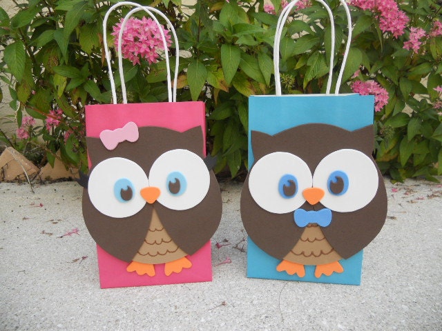 Owl Birthday Party Favor Bag
