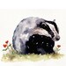 Watercolour sketch - Badger and Poppies