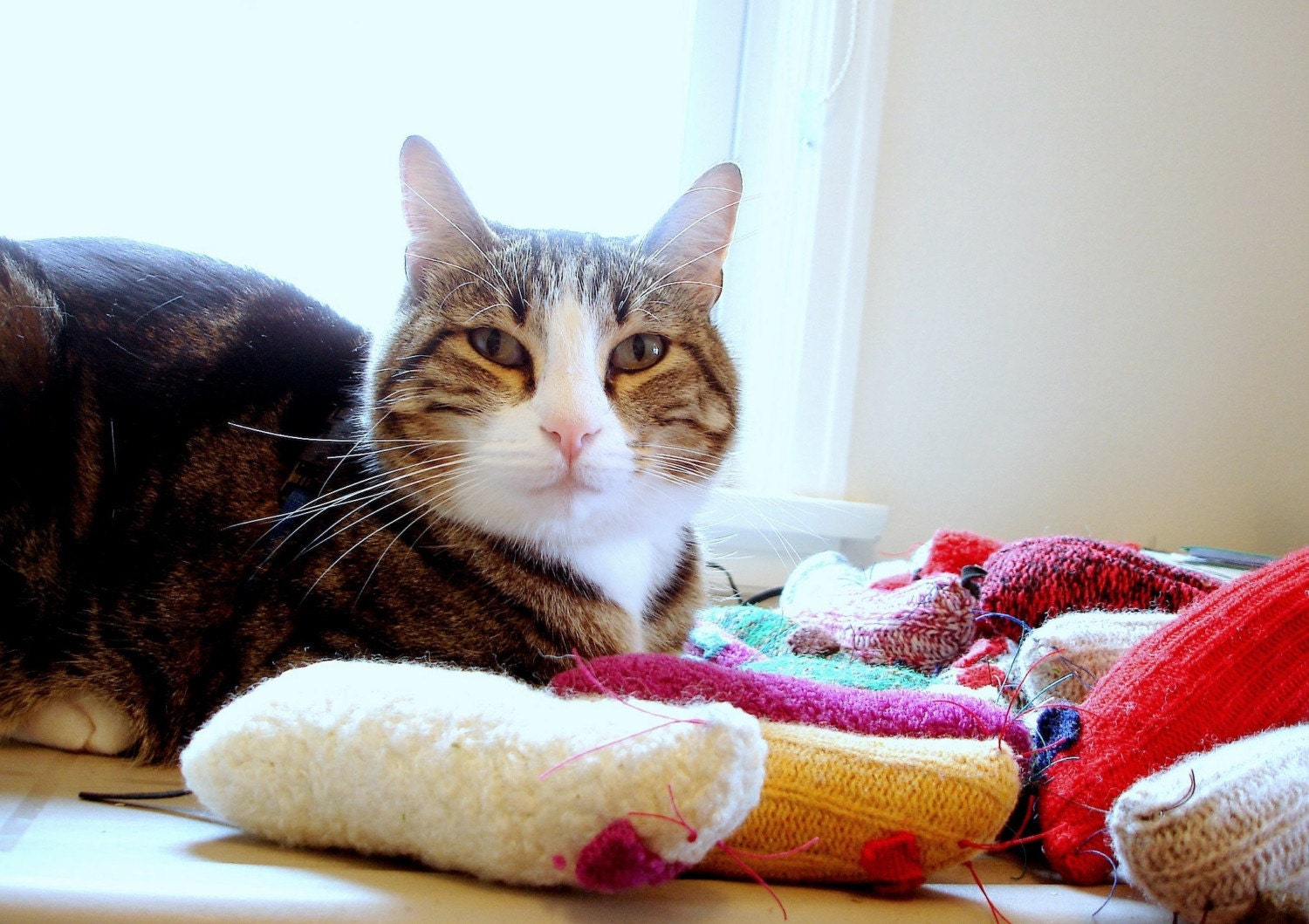 darn socks upcycled wool sock cat toy