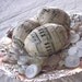 Decoupage Antique Music Eggs - Upcycled Plastic Eggs - Antique Sheet Music- Sepia Tone Antique Paper - Set of 3- Reclaimed Piano Sheet Music