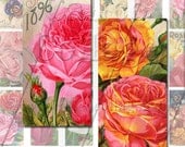 Floral Gems - Instant Download Printable Digital Collage Sheet - 1x2 Domino Tile Size 911