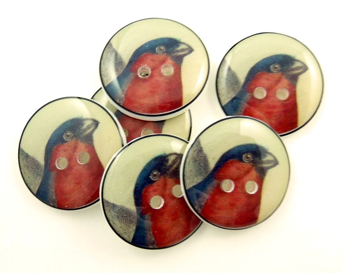 6 Bird Buttons.  Handmade Buttons.  Vintage Image Bird Sewing Buttons.