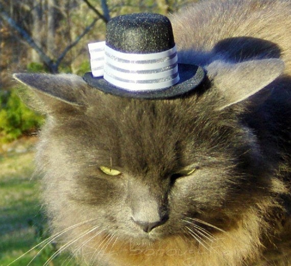 Wedding Hat for Cats and Dogs - Simple Elegance
