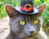 Steampunk Hat for Cats or Dogs - Steampunk - Time Traveller Top Hat