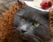 Belle of the Ball Kitty Photo Prop - Hat and Wig