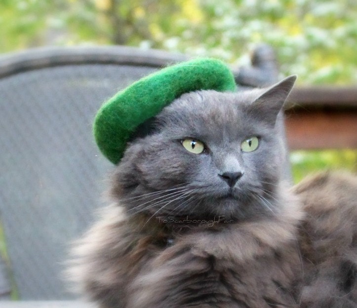 Cat Beret - Cat Scouts of America