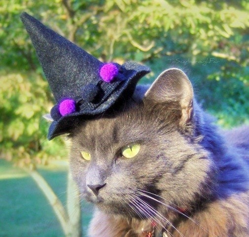 Witch Cat Hat - Purple Pom Pom