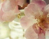 Tenderness (5x7 Unframed Original Fine Art Photograph)