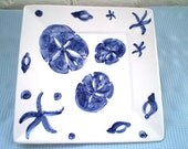 Sand dollar Square plate