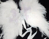 Fancy Fairy Wings