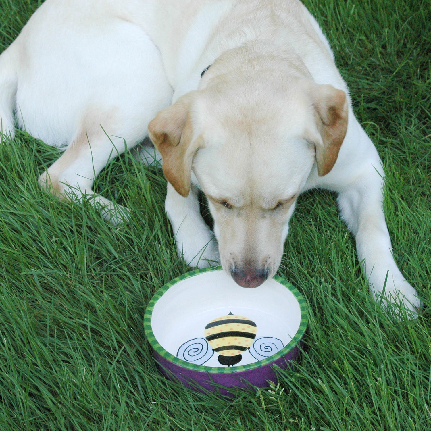 Bumble Bee Hand Painted Dog Food Bowl