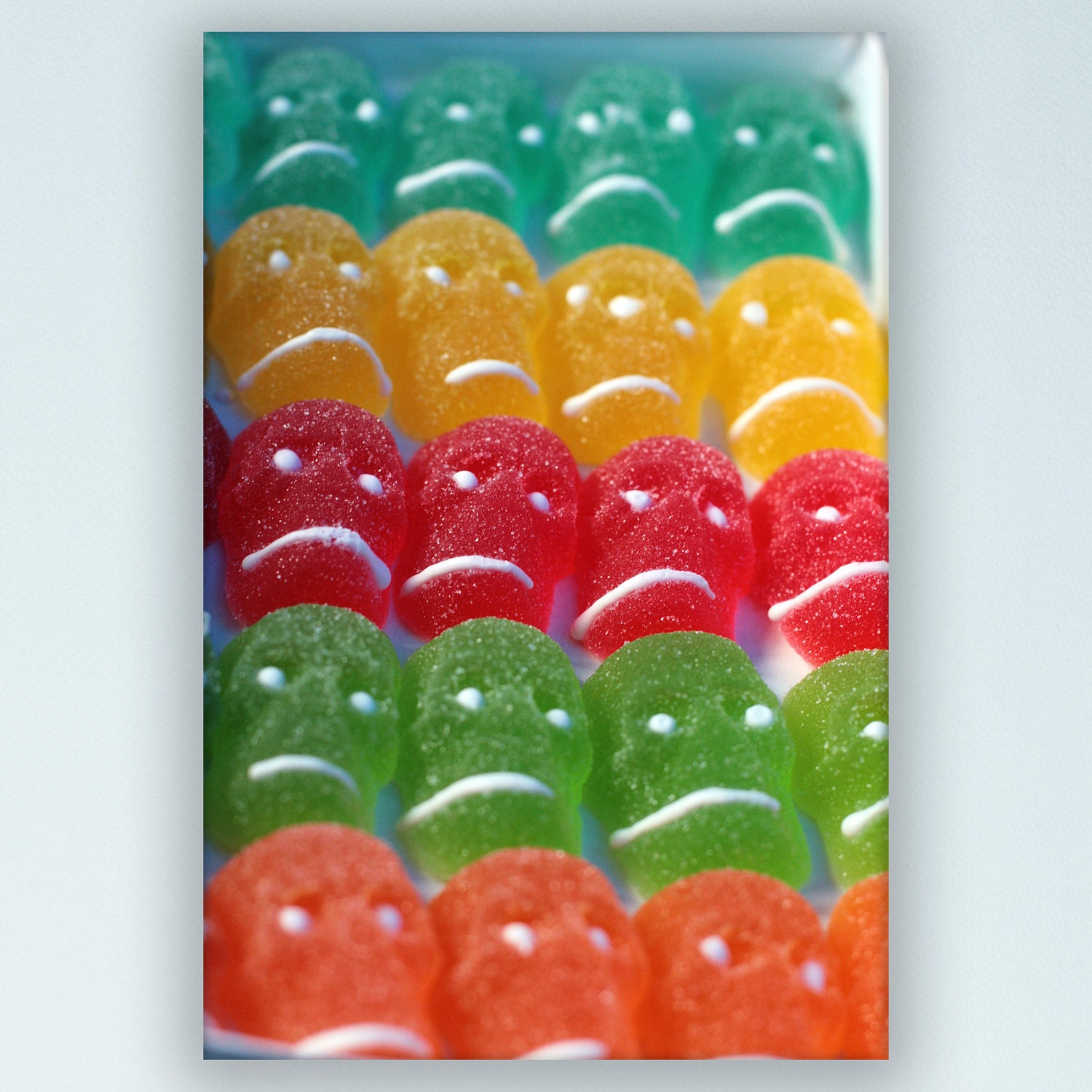 Dia del Los Muertos Candies, 6"x9" photo mounted on maple panel