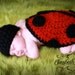 The Littlest Ladybug Crochet Pattern
