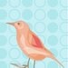 Pretty Bird (Blue Circles)