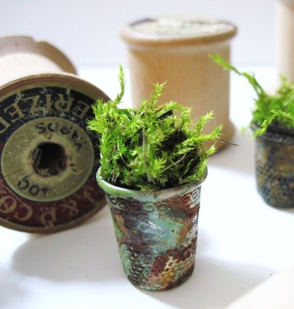 Set of 4 Vintage Thimble Planters with Live Moss