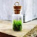 Plant Terrarium Charm for Necklaces, Bracelets, or Keychains