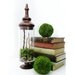 Colored Glass Apothecary Terrarium: Woodland Path