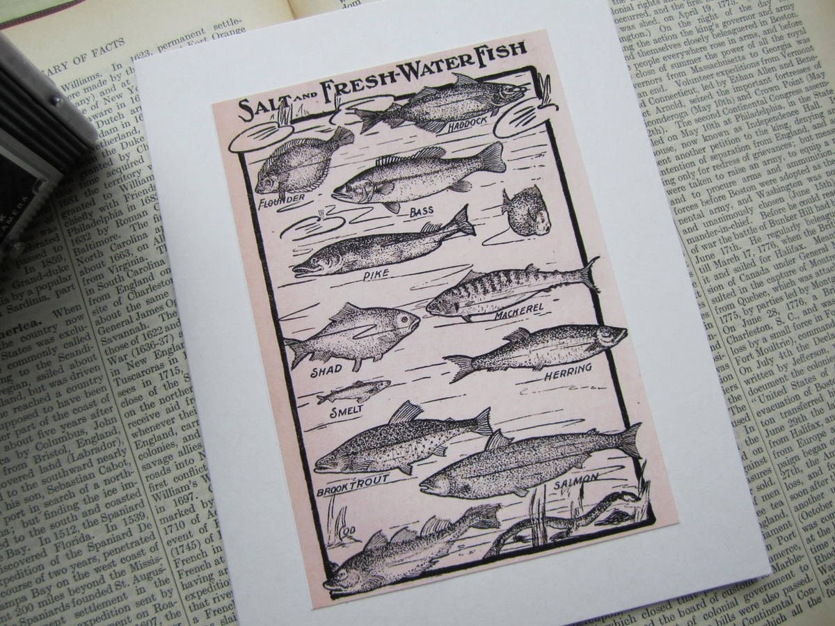 Vintage Fishing Print Greeting Card