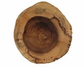 Natural Wood Slice Wall Decor from Fallen Tree-Large