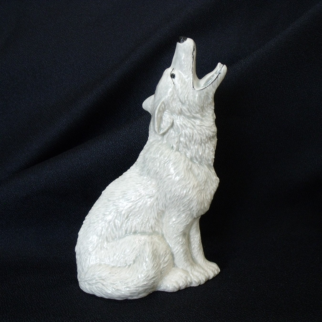 Pale Gray Howling Coyote
