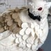 Folk Art Bird,Ring-Necked Dove, Norton