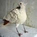 Folk Art Bird,Ring-Necked Dove, Norton