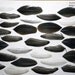 Assorted Trimmed Wing Feathers Cruelty Free White Speckled Black Brown Rustic Colors 40 Natural Feathers NO Kill