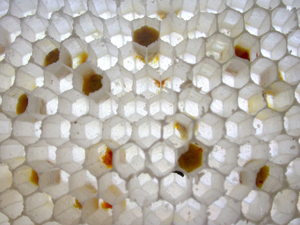 To Bee Organic Natural Perfume 1 gram - Honey, mead and all things related to the sacred honey bee are embodied in this fragrance.