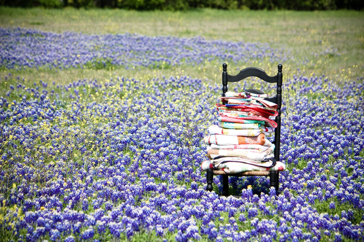 RESERVED FOR CHERYL - A Walk In The Woods Pinwheel Baby Quilt