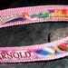 Adjustable Dog Collar from Recycled Saint Arnold Summer Pils Beer Labels