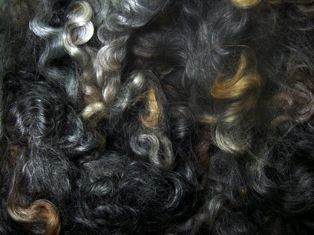 CUSTOM LISTING for LYNDA--Lincoln Longwool Washed Locks