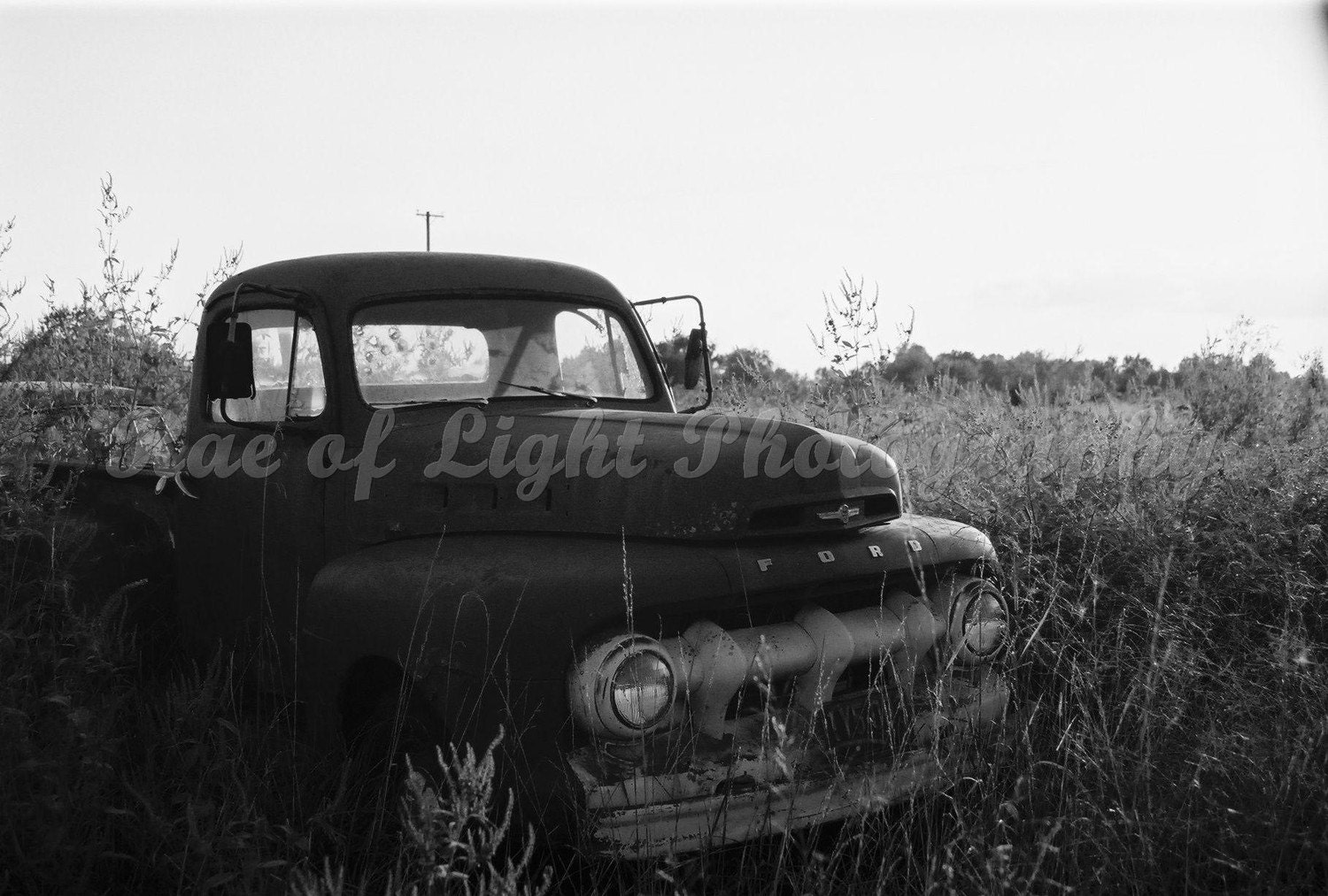 Rustic Ford Truck in Field - 8x10 Art Photography Print