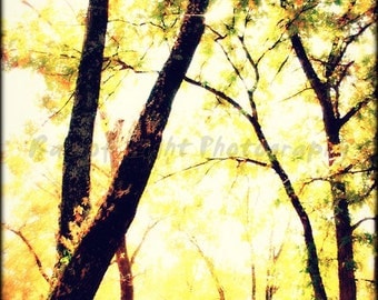 Glitter Autumn Gold - 8x12 Original Etsy Photography Art Print
