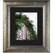 Curly Wisteria on Iron Gates - Etsy Original Art Photography Print